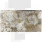 Margelle Piscine en Travertin SCABOS Bord Droit 33x61x5cm