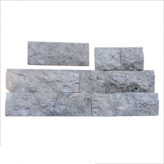 Parement Travertin SILVER BLx10x2.2 cm