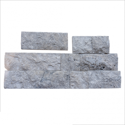 Parement Travertin SILVER BLx10x2.2 cm