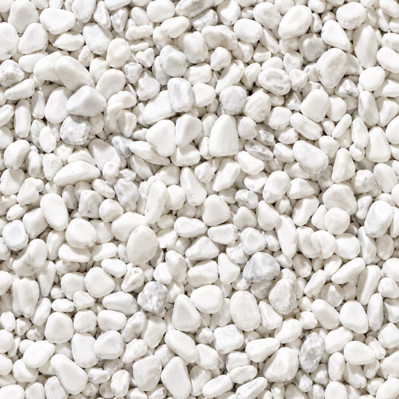 Galet Roulé marbre Blanc de Carrare - 15/25mm Galet Roulé marbre Blanc de Carrare - 15/25mm
